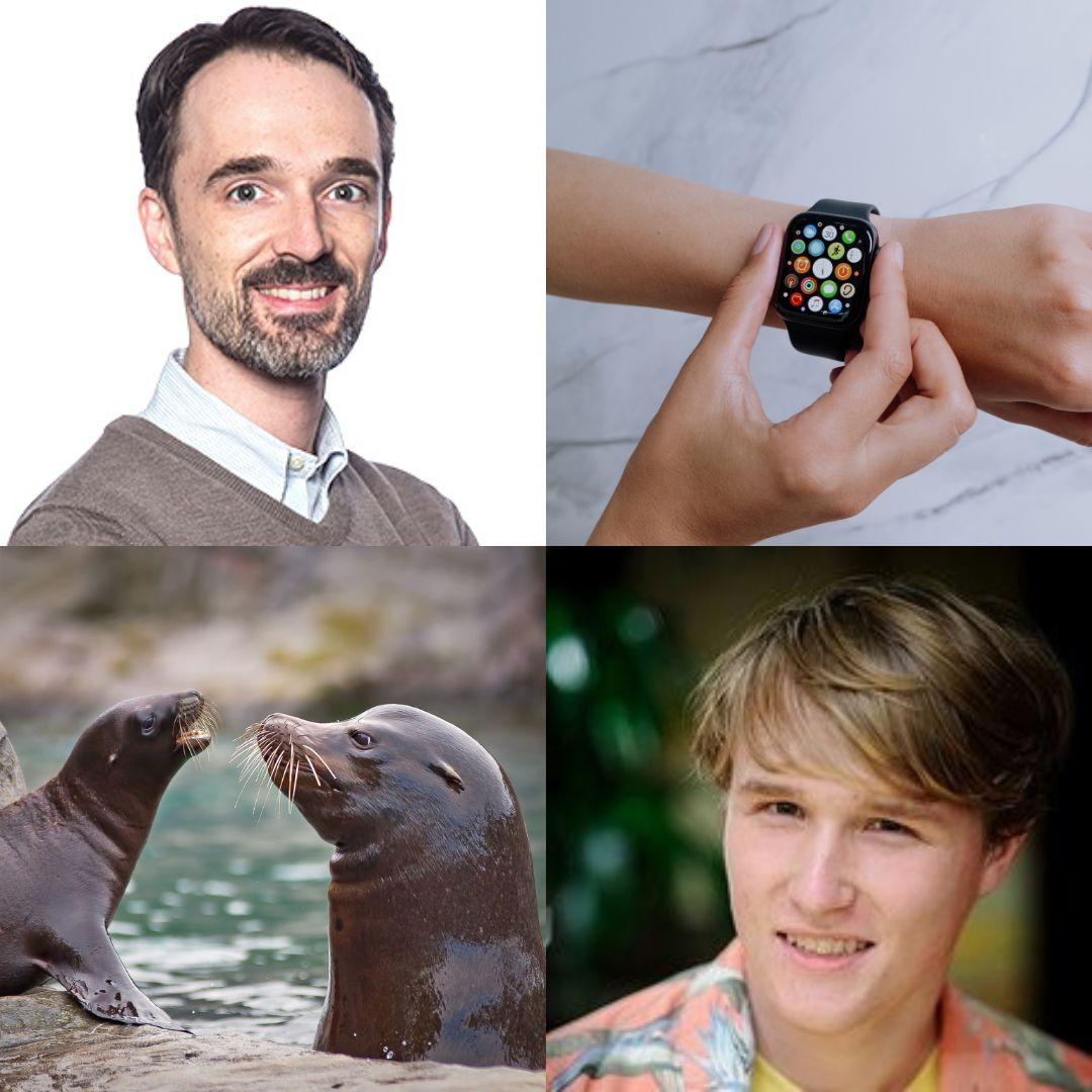 John Leikauf, Apple Watch, Sea Lions, David Krucik